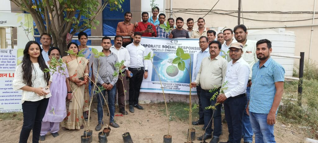 tree plantation group